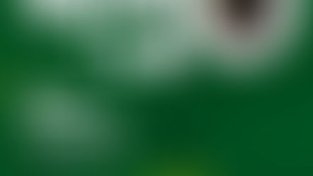 Comissão de Direitos Humanos realiza Café Pensante sobre “Povos Indígenas”