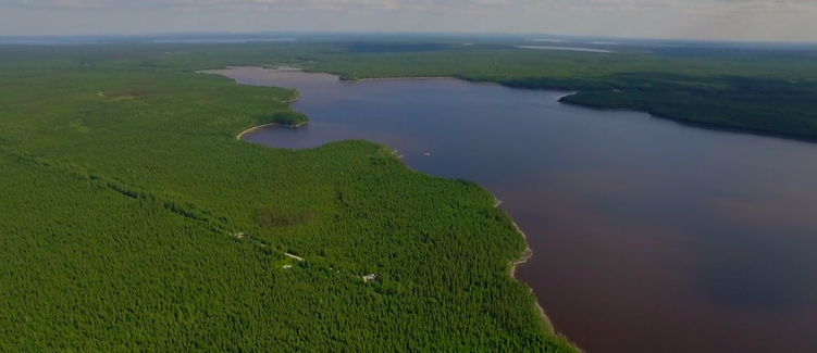 Screenshot 2019-01-22 at 10:19:24.pn