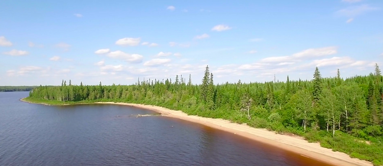 Screenshot 2019-01-30 at 11:31:27.pn