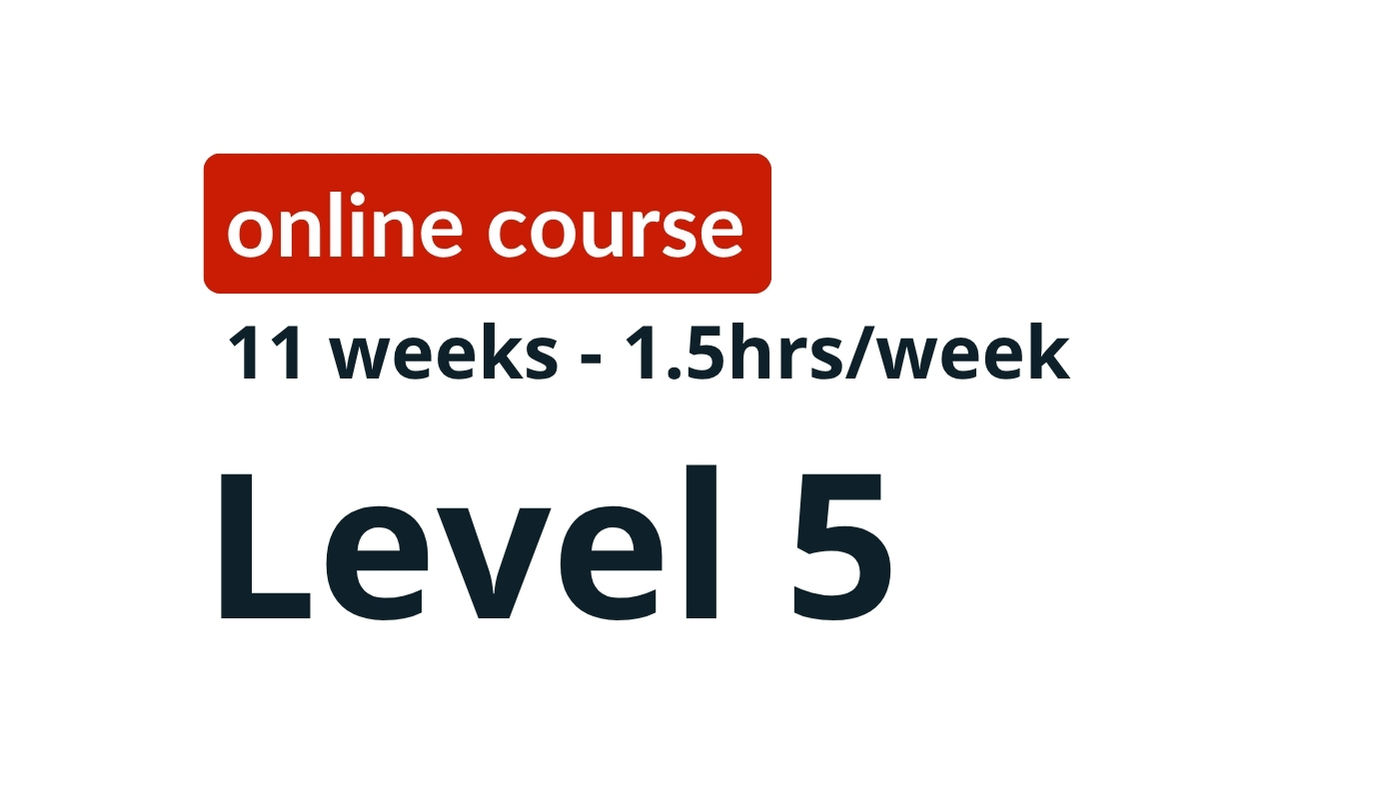 Group German course for beginners, held online