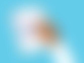 A Guide to Combining Counseling and Psychiatric Care: Therapy & Medication: How They Work Together