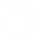 SIMBOLO_FUNDACAO MADRE TRINDADE_nobg