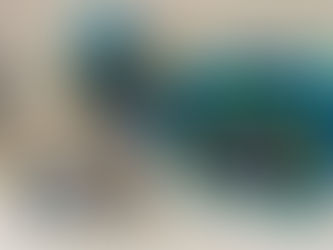 A Importância da Proteção dos Oceanos" une alunos e famílias em projeto de sustentabilidade