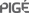 PIGE BRANDING E DESIGN.png
