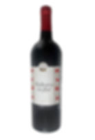 Bodega Oloron, Negre, Vino Tinto, 2022, 0,75l