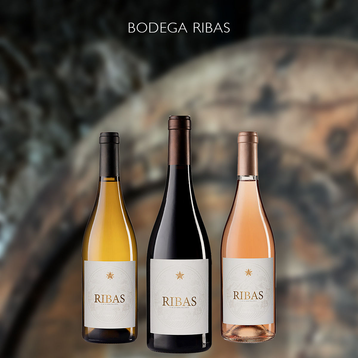 Ribas Dreierpaket Eco-BIO