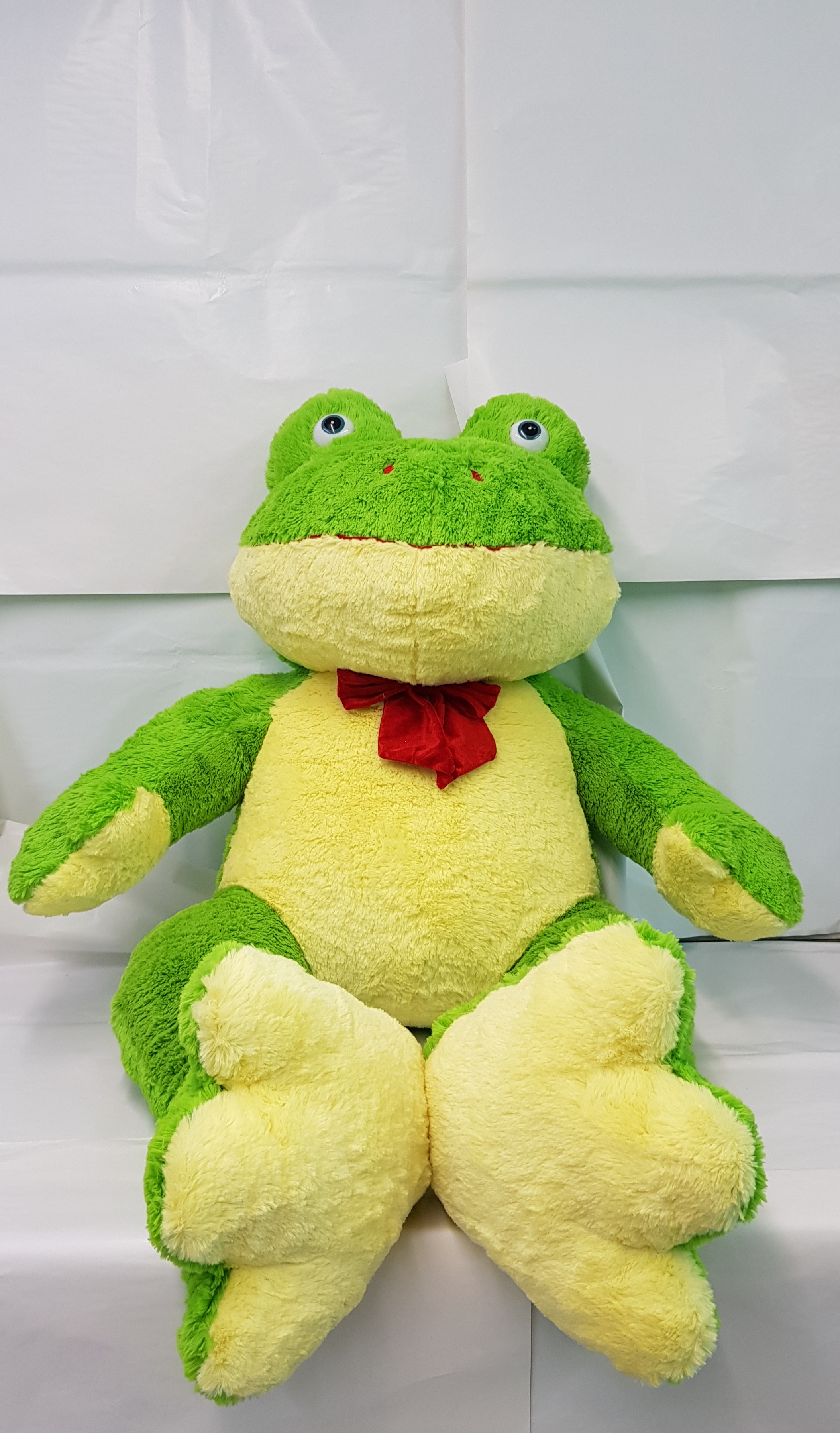 Sapo Médio