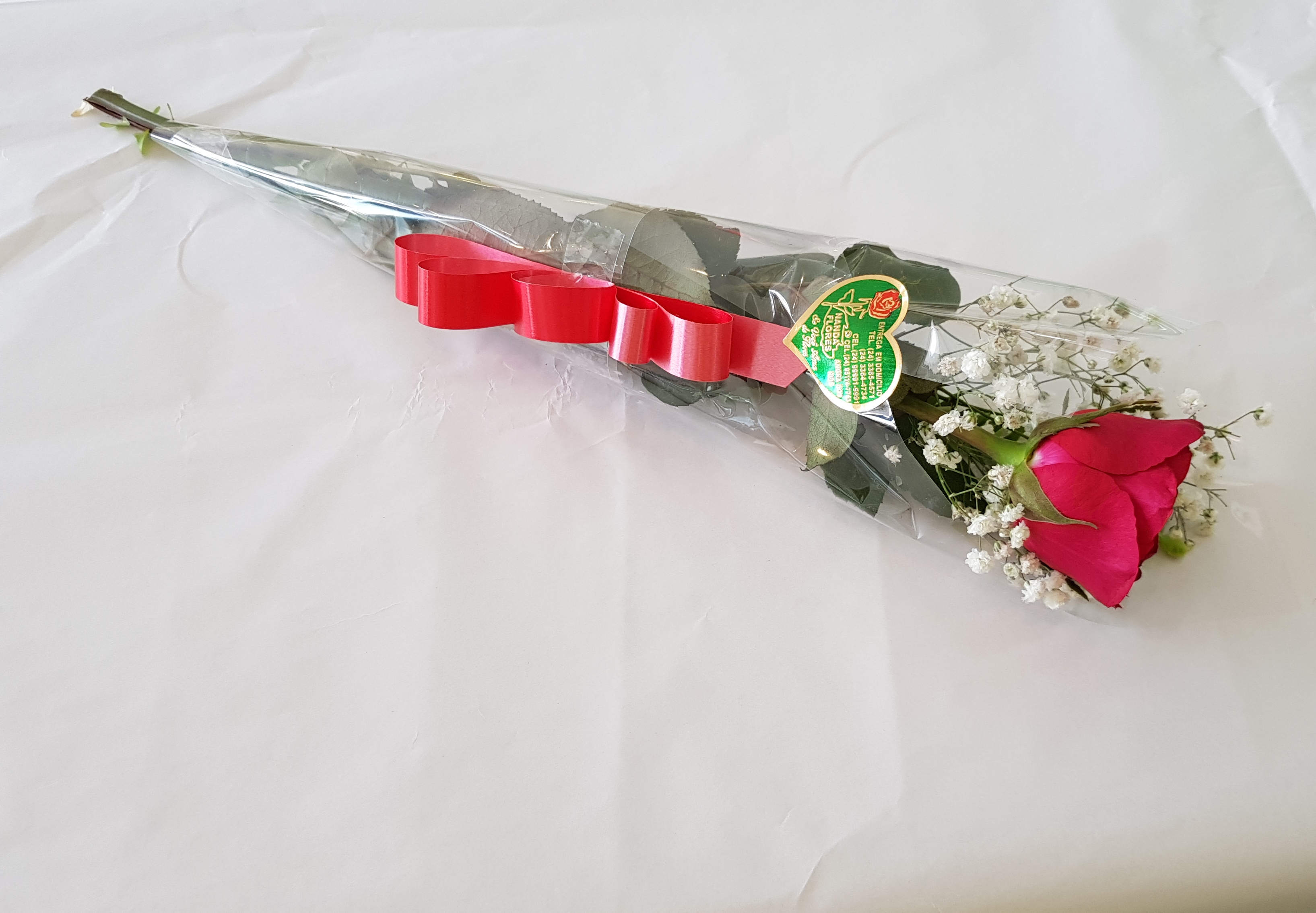 Rosa para presente