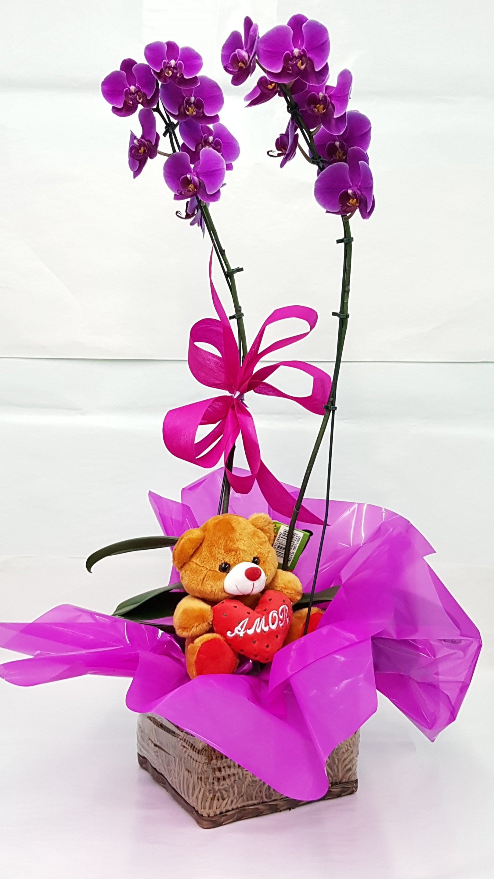 Orquídea com Urso