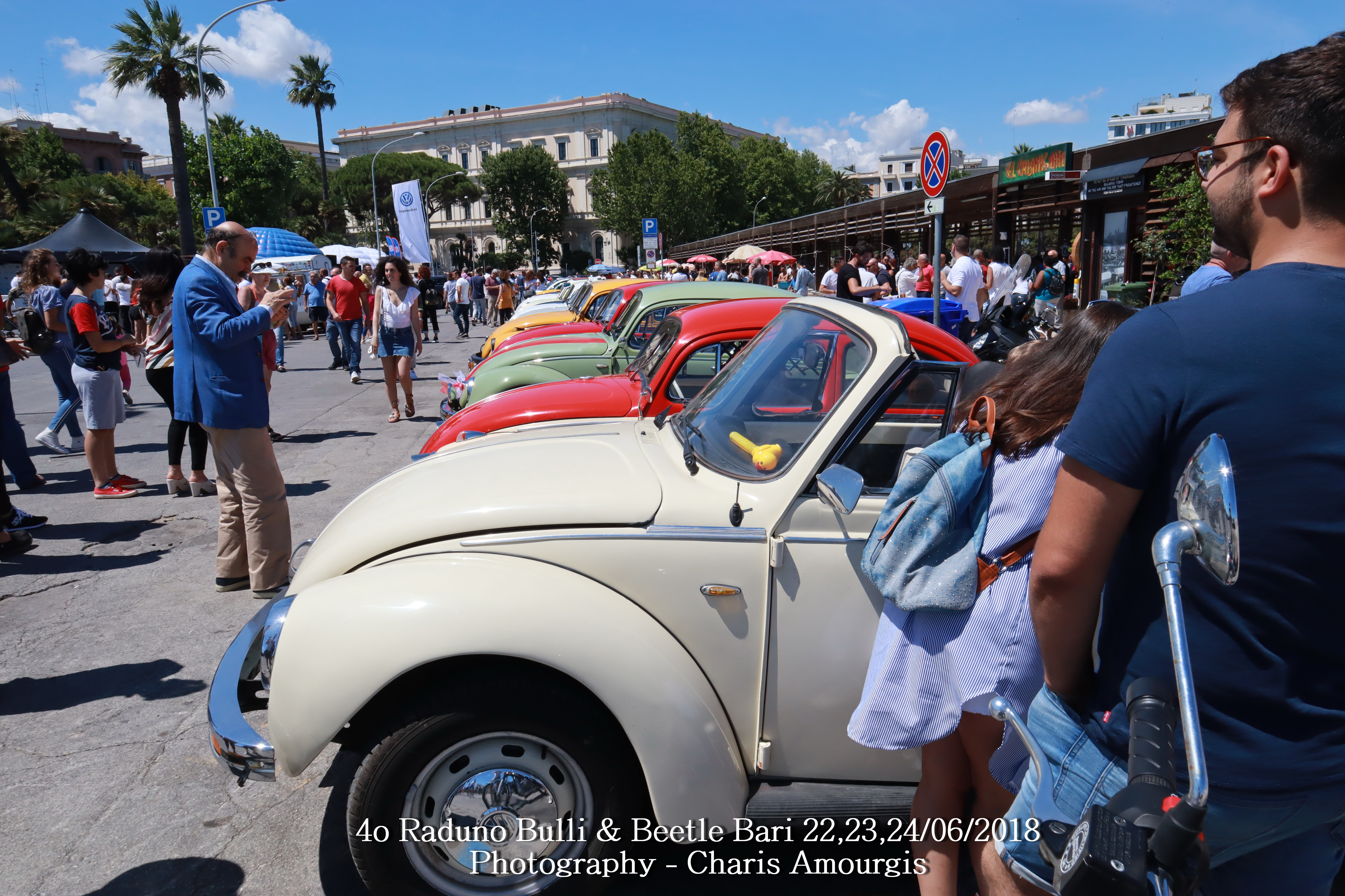 IMG_0961_C