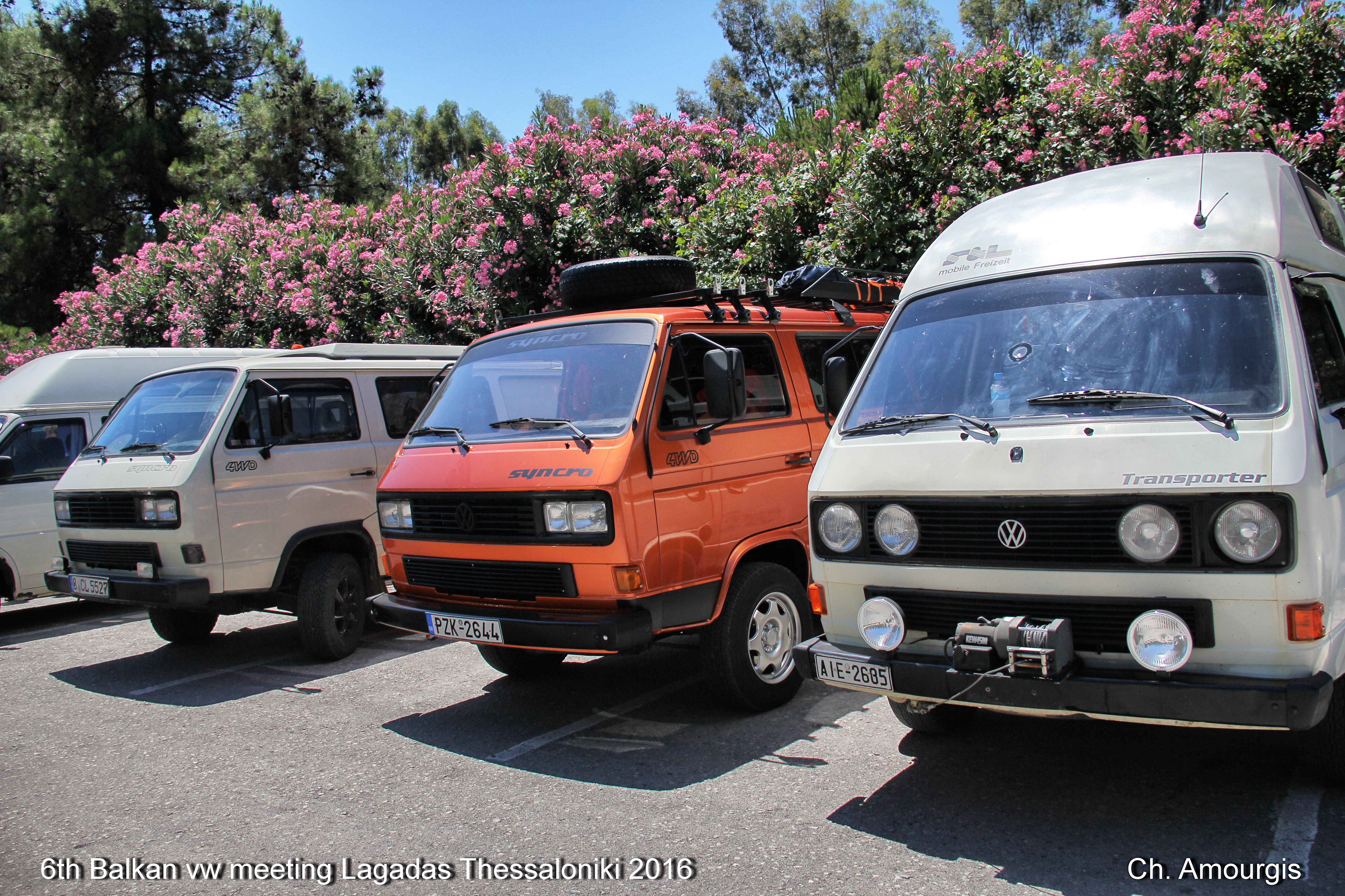 6th Balkan vw.jpg
