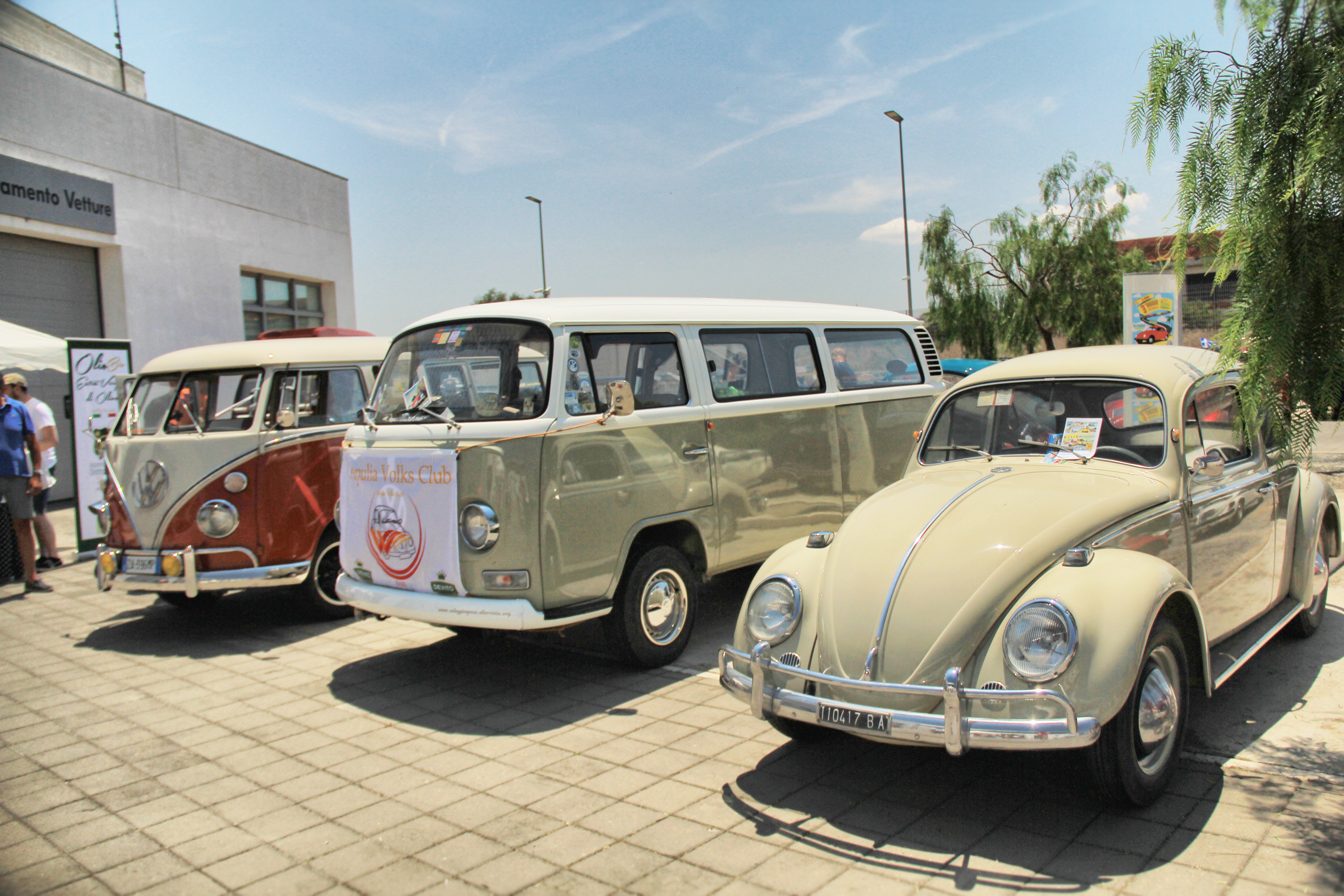 IMG_8222_S.jpg