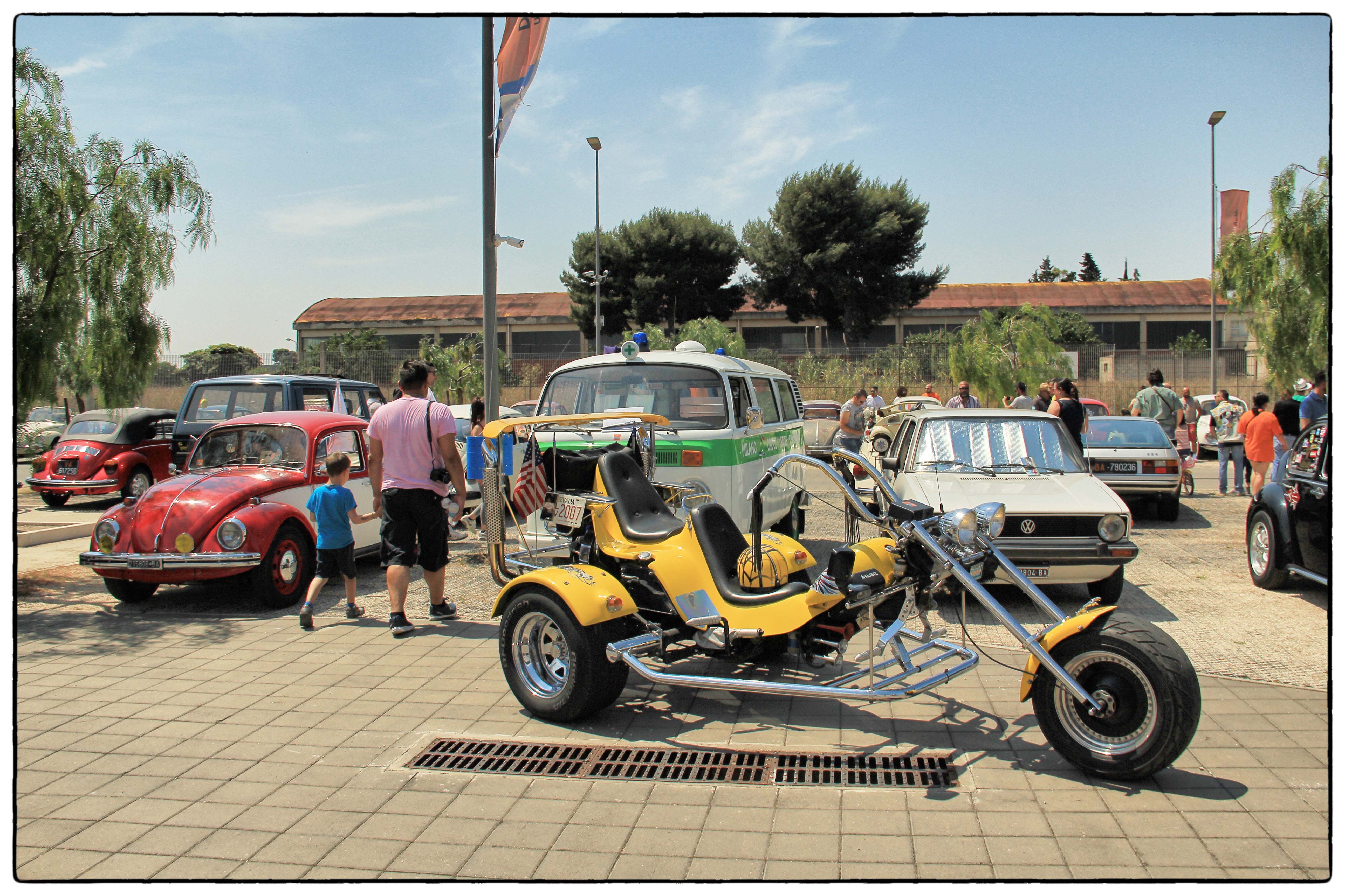 IMG_8195_S.jpg