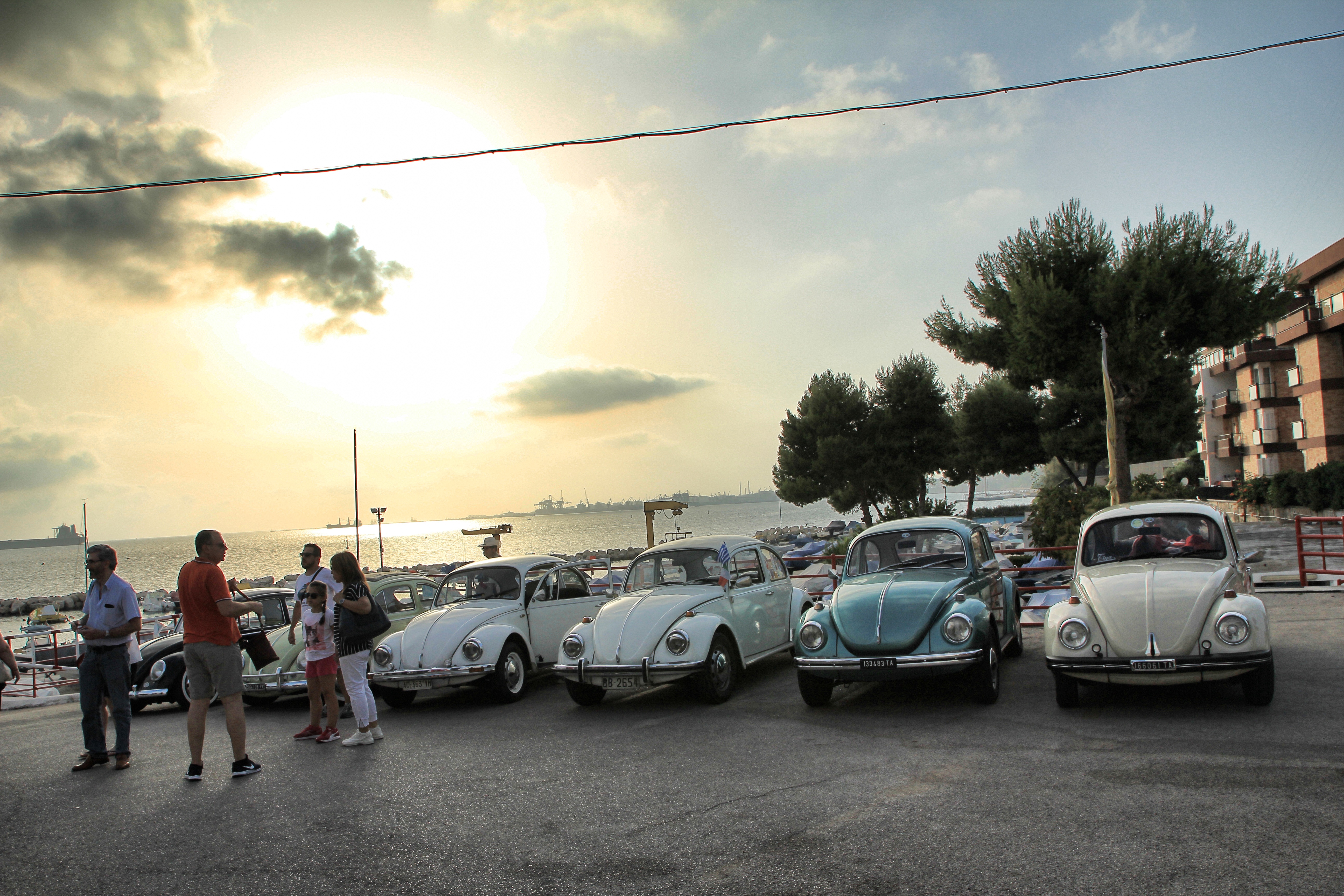 IMG_9268_S.jpg
