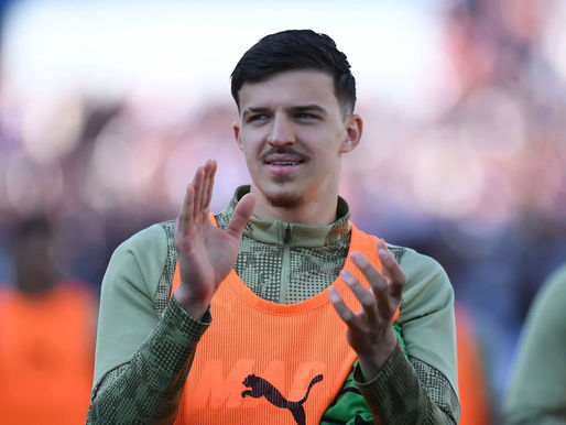 FIFA World Cup 2026: Why Bosnia’s Tarik Muharemovic is a man to watch out for