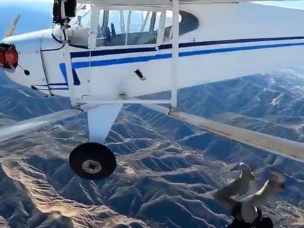 YOUTUBER GETS 6 MONTHS BEHIND BARS Staged Plane Crash For Clicks!!