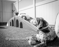 20170909-IMG_8730sunshine