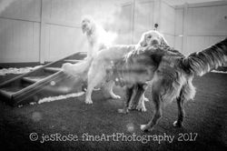 20170206-IMG_7739-2