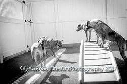 20170401-IMG_9116