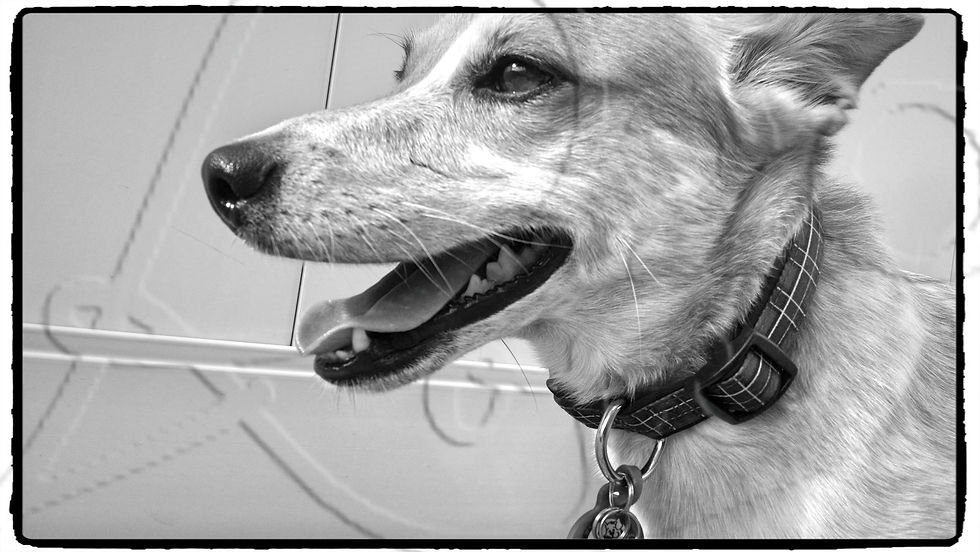 nellie smile girl!!