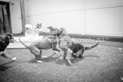 20170628-IMG_1388