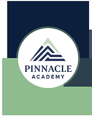 Pinnacle Disply Logo.png