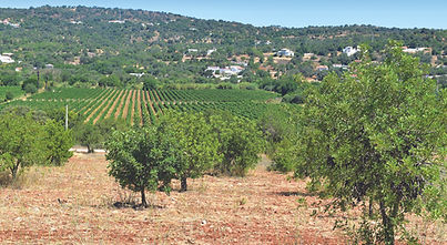 Quinta da Tor landscape 300 dpi CMYK.jpg