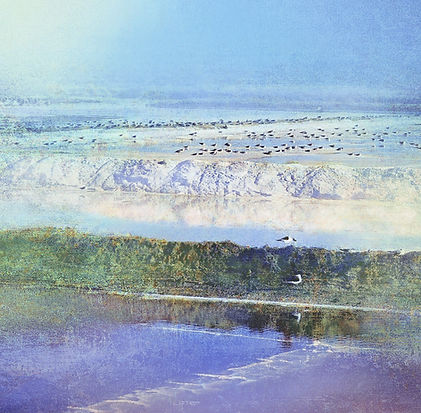 Salt pans landscape 1000 x 1000 LR_edite