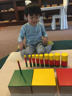 Colored Cylinders