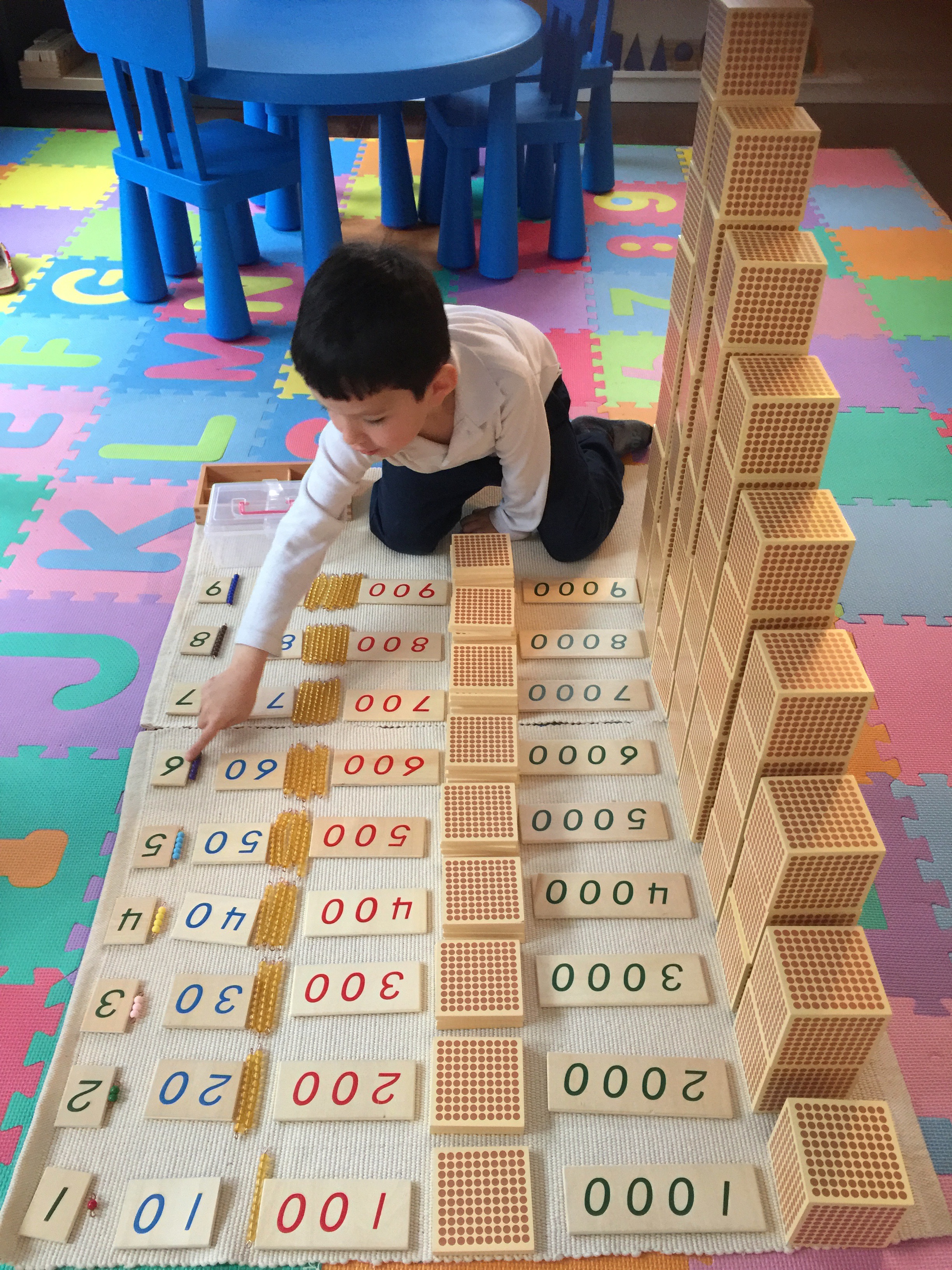 The Decimal System-Bird Eye View