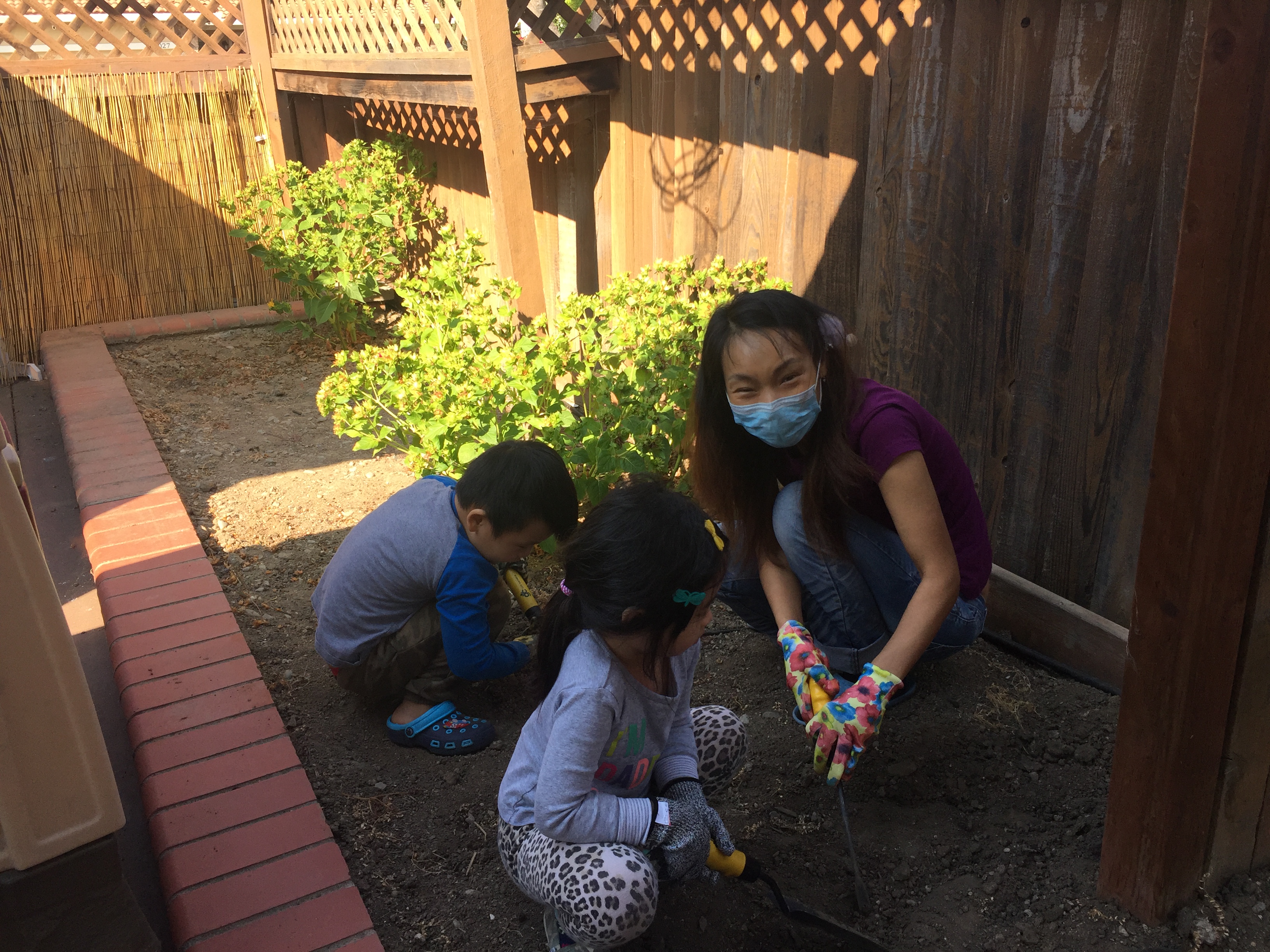 Planting Potatoes