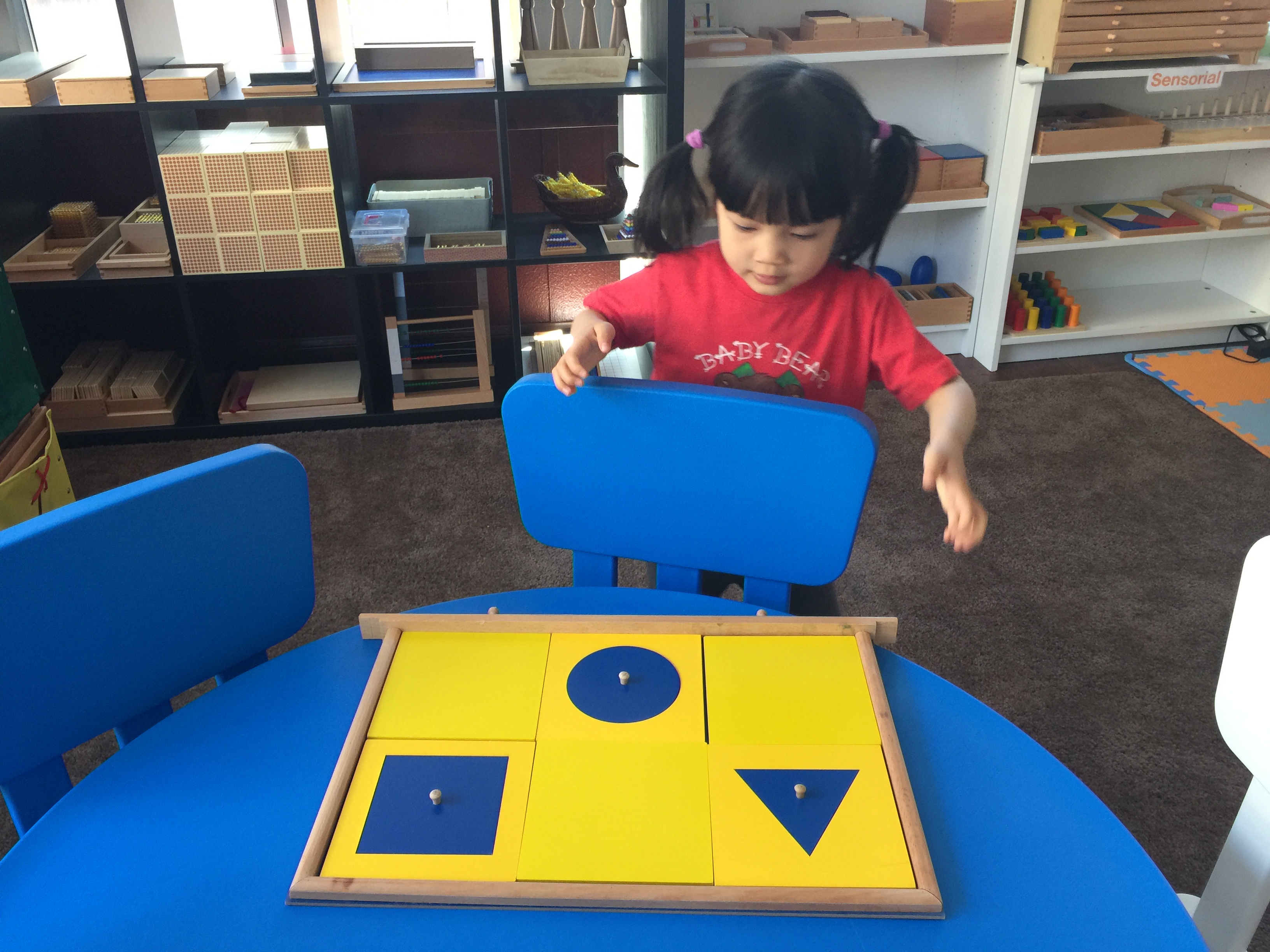Demonstration tray