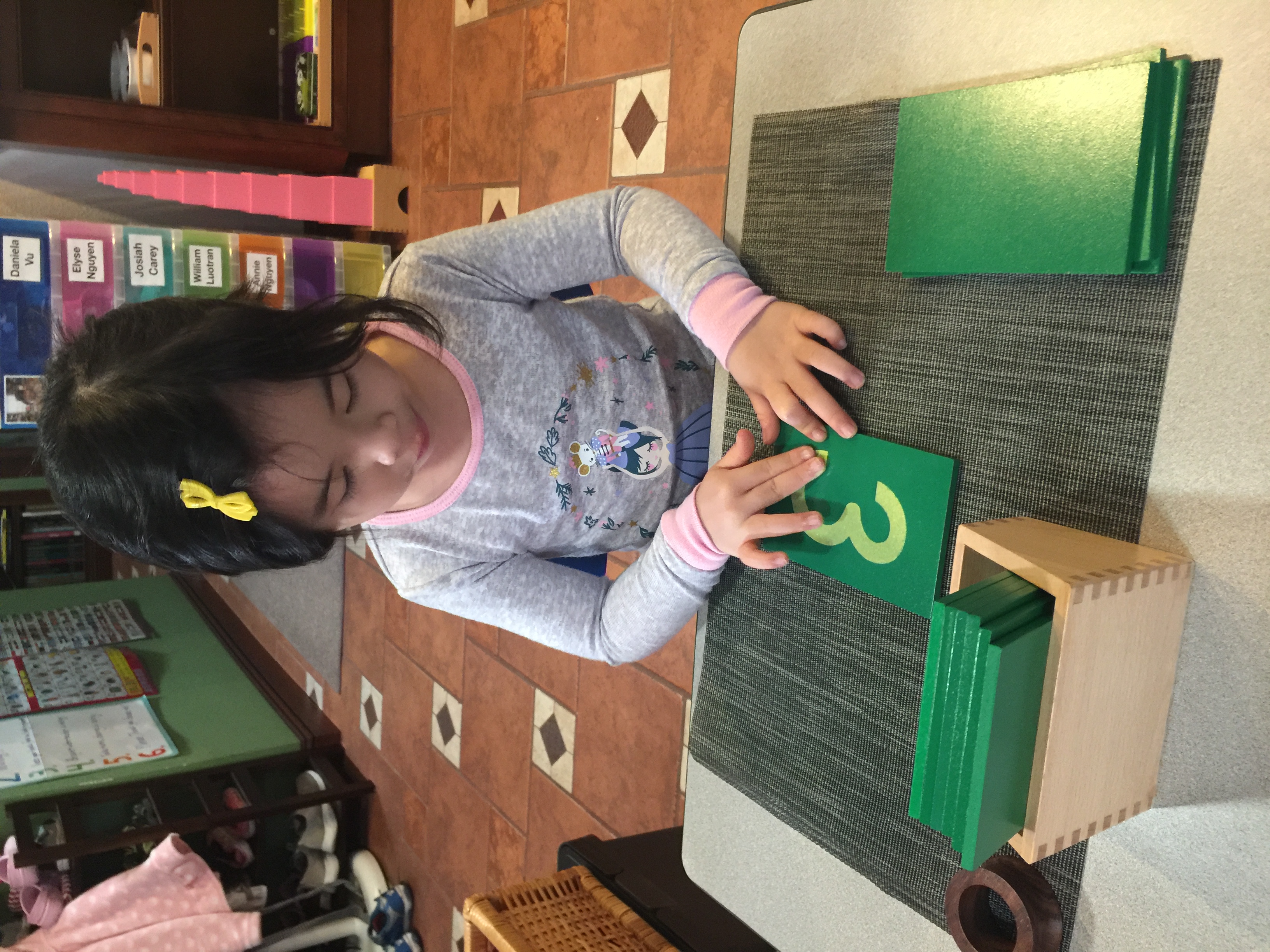 Sandpaper Numerals