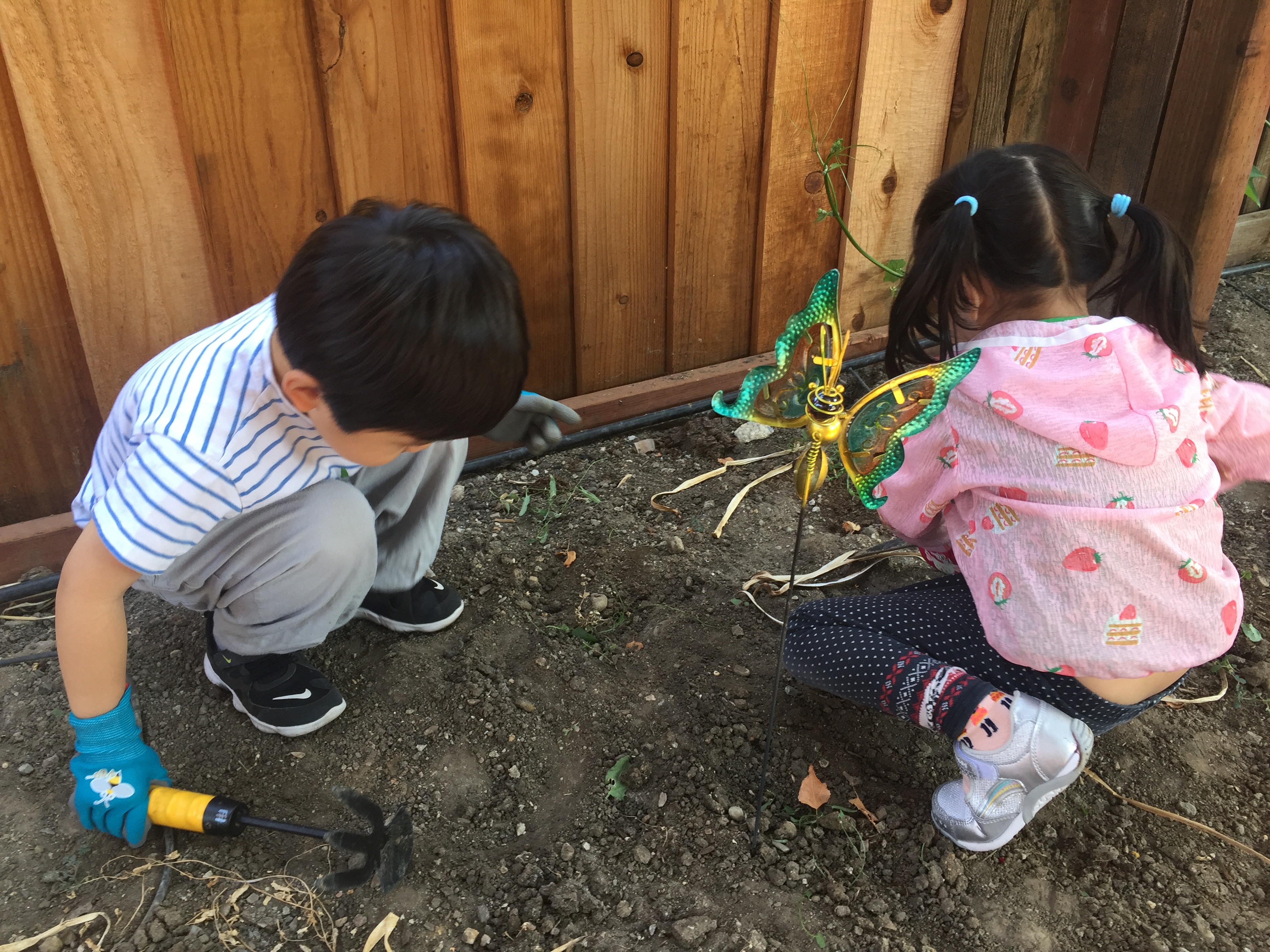 Take care of our Garden