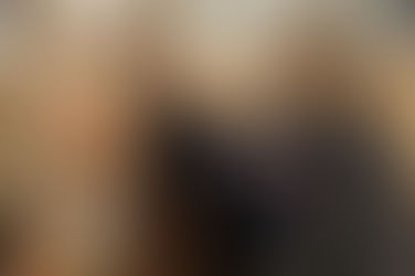 Pferdetag am 06.02.16, Sattelkunde