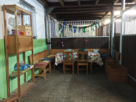 Neues auf der Vita-Farm!