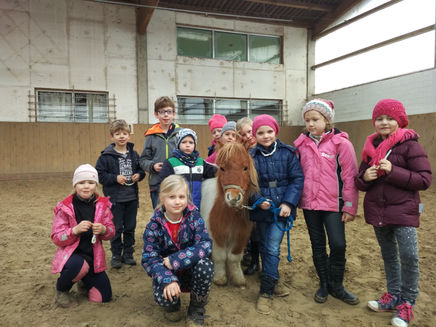 Pferdetag am 19.11.16