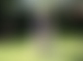 Glück unterm blühenden Apfelbaum!