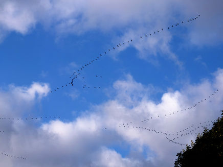 Die letzte Schulferien-Herbstwoche