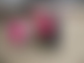 Herbstferien! Woche 2!