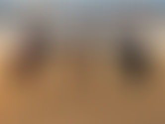 Gäste über Weihnachten und Neujahr 2017