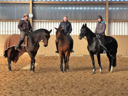 Gäste über Weihnachten und Neujahr 2017