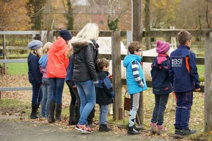 Voller Erfolg - Pferdetag
