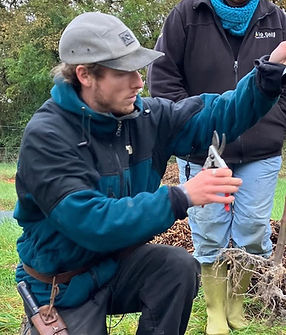 Créer un verger en agroforesterie syntropique