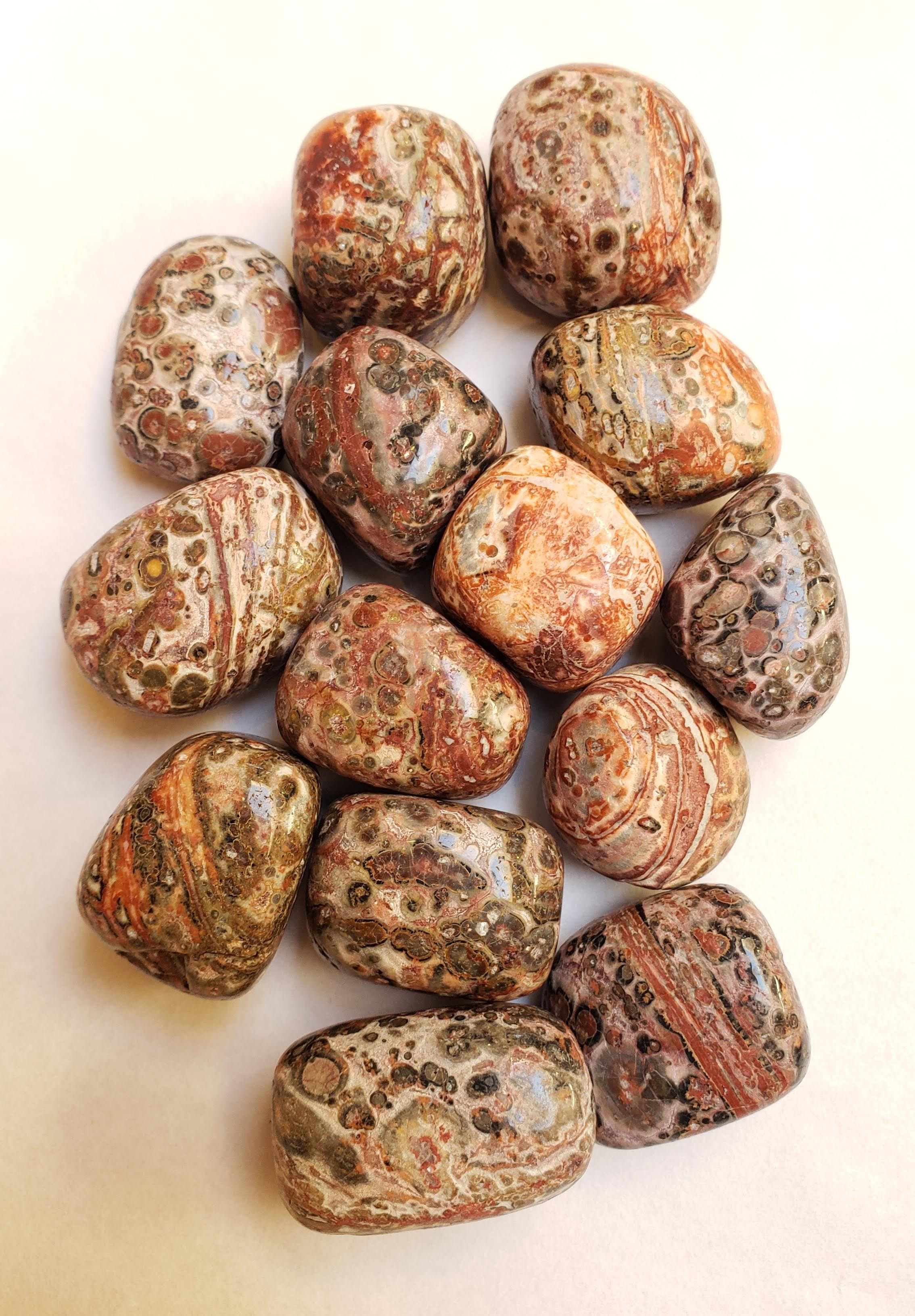 Leopard Skin Jasper Tumbled Small