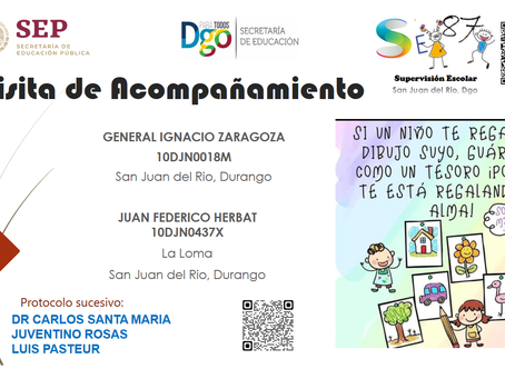 Visitas de Acompañamiento.