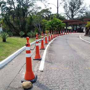 Novos cones