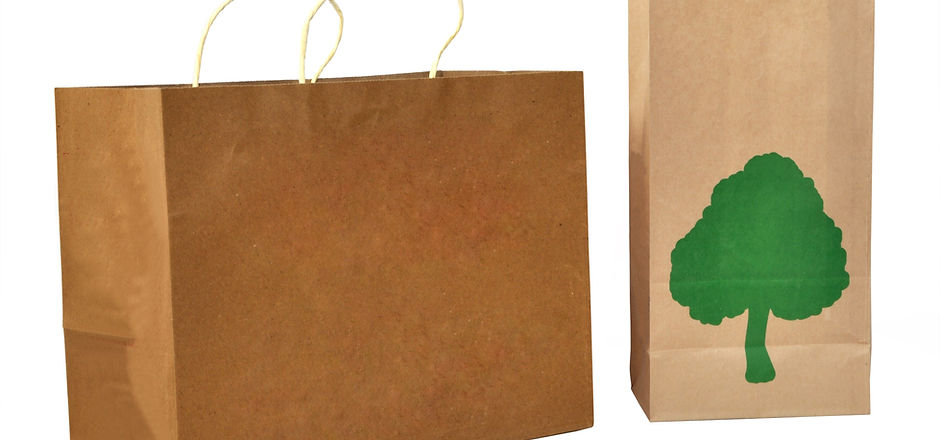 carrybag1.JPG