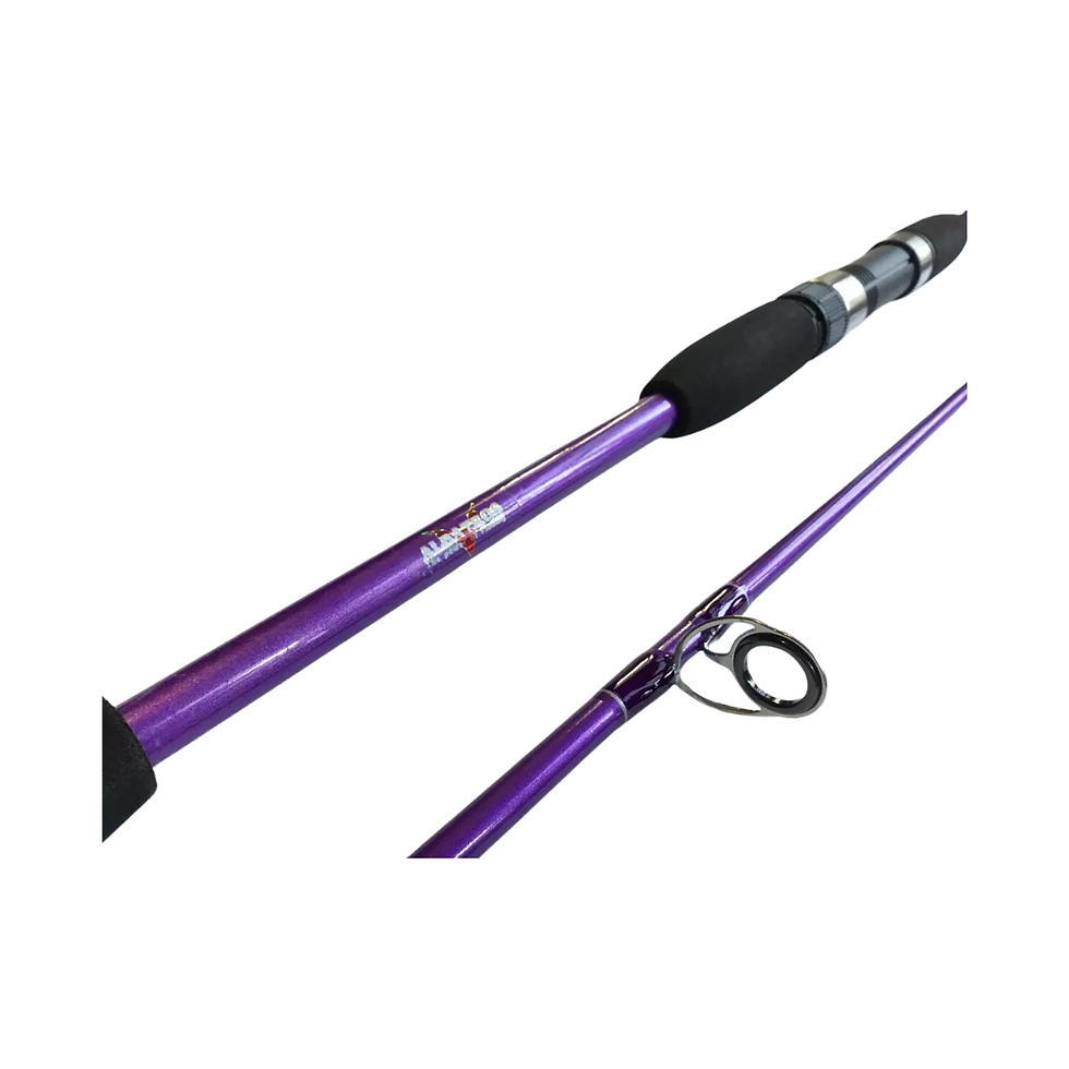 Miniatura: Caña de Pescar Champion 2,40m 2 Tramos Maciza | Resistente y Potente