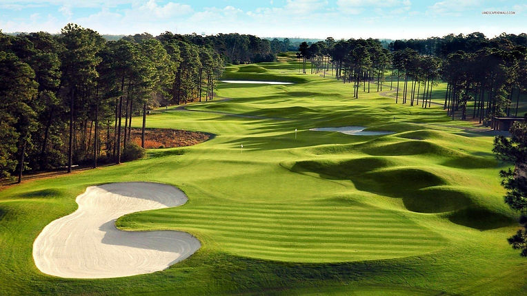 Golf course.jpg